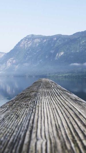 有会搭建蜘蛛池的吗截图3