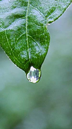 百度蜘蛛池有什么用截图1