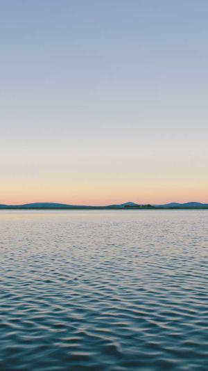 蜘蛛池系统有什么用截图4