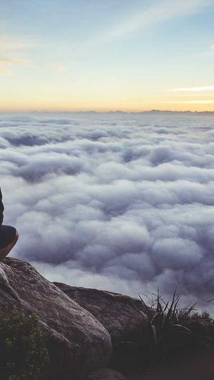 蜘蛛池知乎截图4