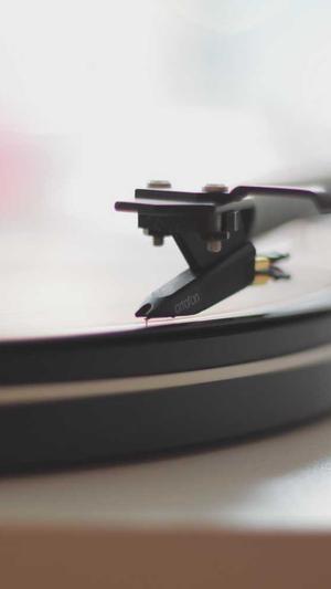 免费seo网站截图3