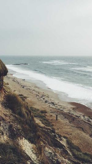 蜘蛛池域名注册截图2