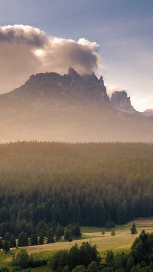 百度蜘蛛池收录查询截图1