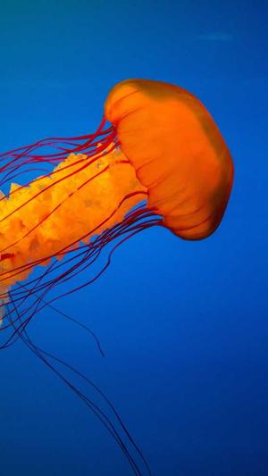 老铁蜘蛛池好用吗截图3