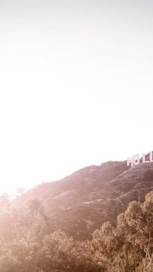 蜘蛛池能放内页链接吗截图3