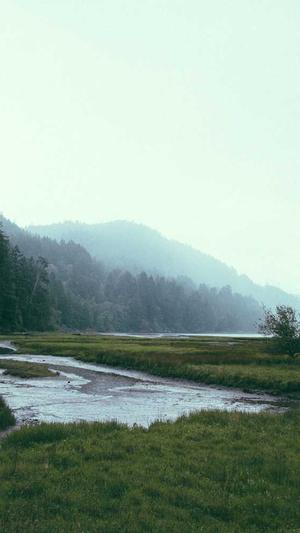 seo百度秒收录泛目录截图2