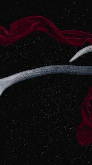 seo教程蜘蛛池秒收录截图5