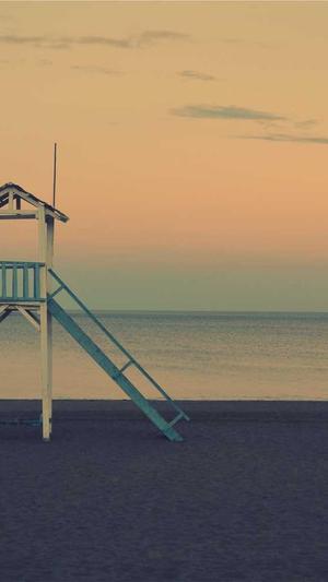 搭建蜘蛛池简单吗英语截图2