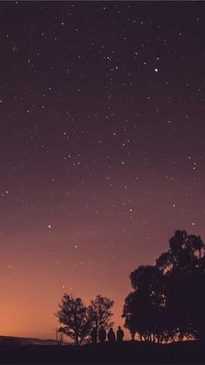 最新泛目录站群程序截图3