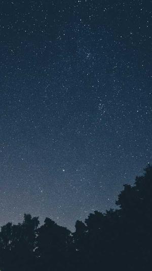 泛目录安装教程截图3