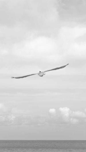 梦幻西游私服推截图1