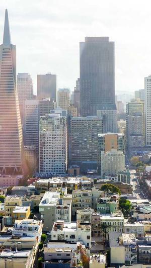 旺道seo软件截图3