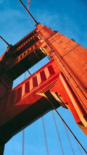 天津神马蜘蛛池租用截图3