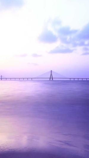 百度云蜘蛛池截图4