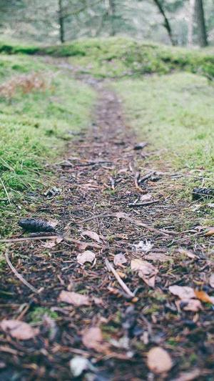 梦幻西游私服推截图2