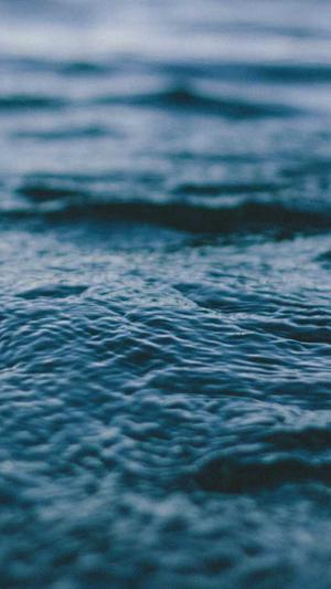 哪个蜘蛛池好用截图1