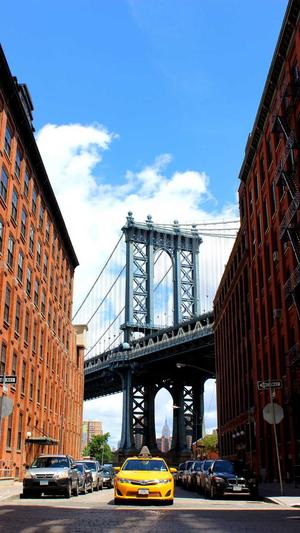 宁夏蜘蛛池出租服务截图4