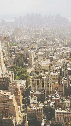 seo百度秒收录泛目录截图4