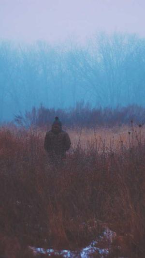 免费百度蜘蛛池小说截图3