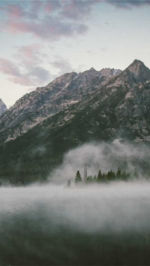 蜘蛛池工具全向zjkwlgs截图1