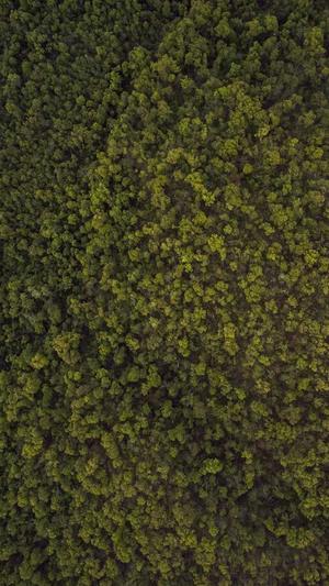 搜狗蜘蛛池官方网站截图2