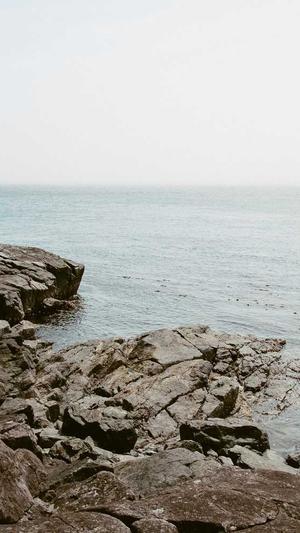 又一款最新零距离泛目录源码截图3