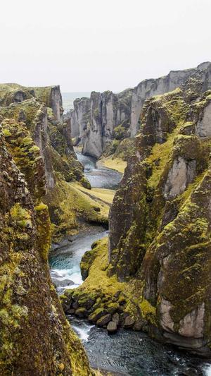 外推蜘蛛池优化截图2