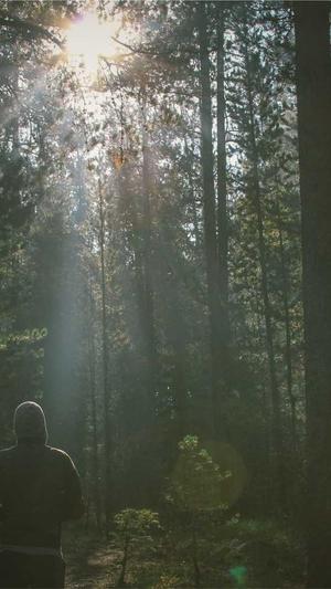 seo泛目录怎么操作发帖截图2