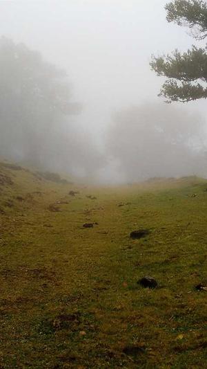 蜘蛛池最新程序截图1